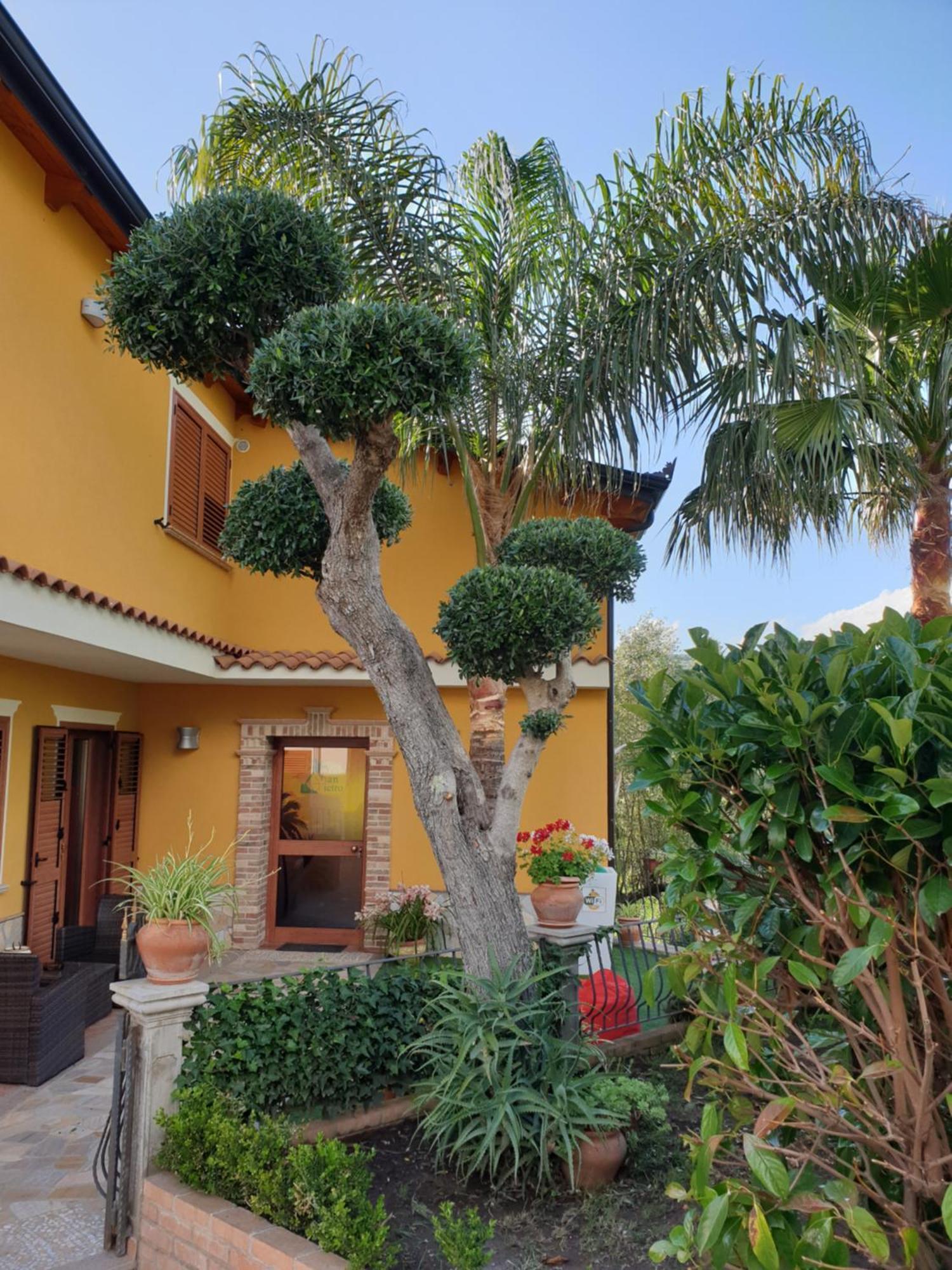 San Pietro Bed & Breakfast Mileto Dış mekan fotoğraf