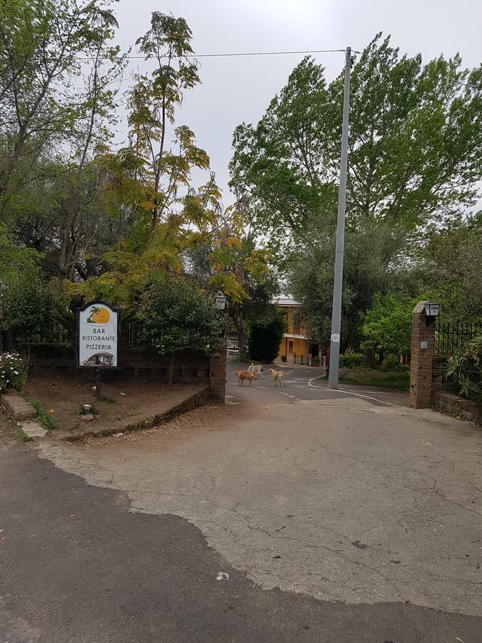 San Pietro Bed & Breakfast Mileto Dış mekan fotoğraf