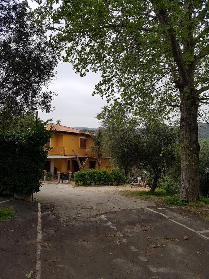 San Pietro Bed & Breakfast Mileto Dış mekan fotoğraf