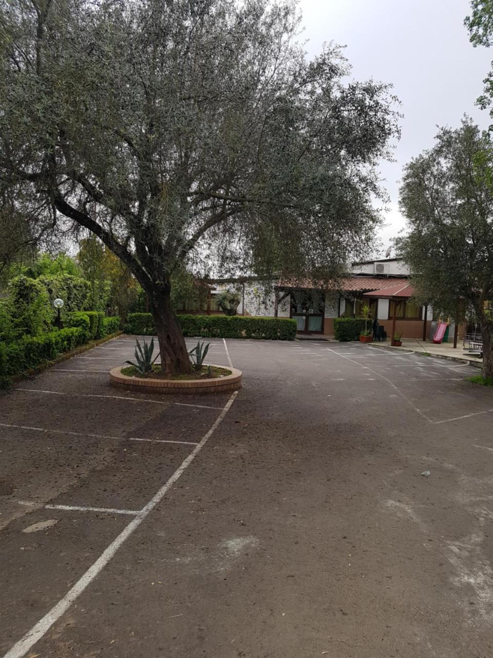 San Pietro Bed & Breakfast Mileto Dış mekan fotoğraf